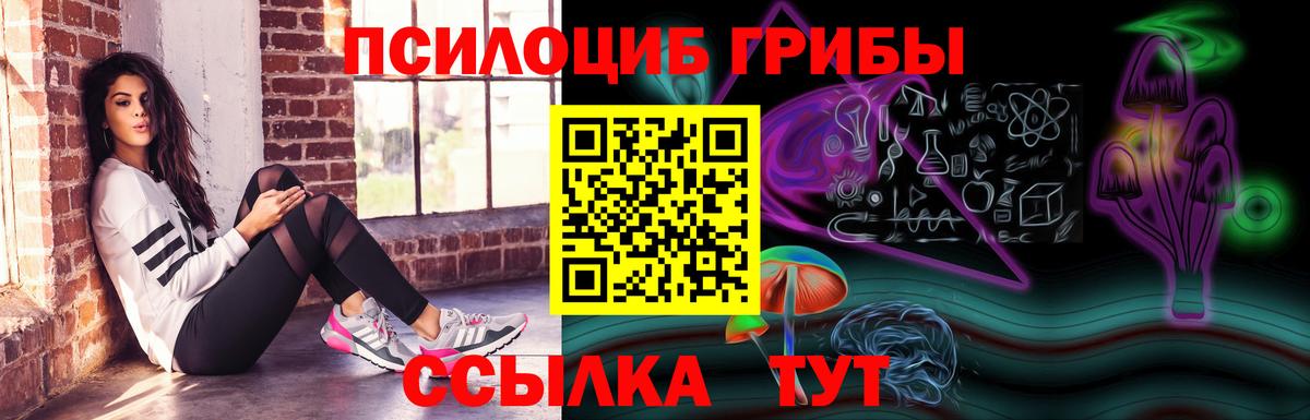 Галлюциногенные грибы ЛСД Черняховск