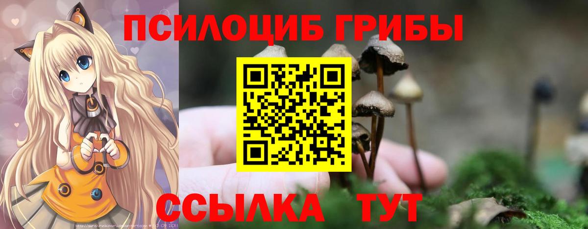 Псилоцибиновые грибы MAGIC MUSHROOMS  Галлюциногенные грибы мухоморы  Черняховск  Вход с VPN 
